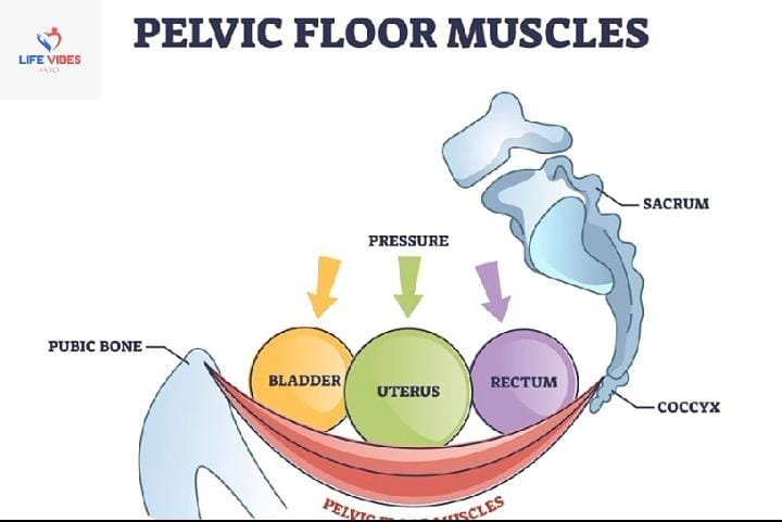 Symptoms of Pelvic Floor Dysfunction